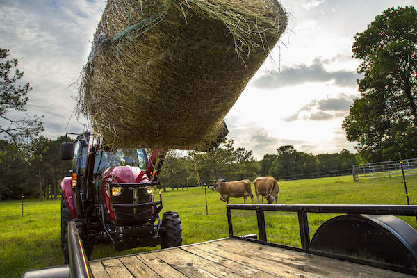 The Best Ways to Store Your Hay Bales