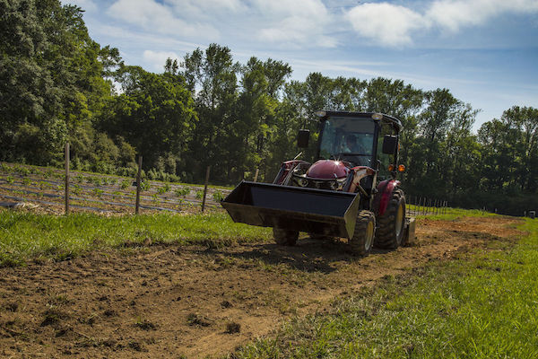 How to Prepare Your Soil for Planting